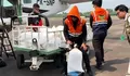 Bantu Penerbangan, BNPB Tebar 2,4 Ton Dry Ice di Sumsel untuk Atasi Asap Karhutla