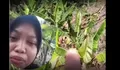 Viral Tangis Pilu Wanita Pemilik 600 Pohon Pisang yang Diracun Orang, Wapres Gibran Turun Tangan