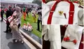 Kegembiraan Tamu Undangan dapat Goodie Bag Usai Upacara HUT ke-81 RI, Warganet Ramai Soroti Isi hingga Anggaran Souvenir yang Dibagikan dari Istana