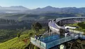 5 Kebun Teh Ini Wajib Masuk List Kunjungan Kalau Liburan ke Bandung, Salah Satunya jadi Spot Sunrise Terbaik