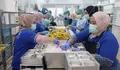 BGN Buka Kanal Khusus Guru, Bisa Sampaikan Keluhan hingga Laporkan Temuan Terkait Program MBG, Begini Caranya