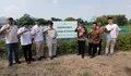 Kepala Bappenas Rachmat Pambudy Tinjau Penerapan Pertanian Berbasis Data dan AI di Klaten, Perkuat Ketahanan Pangan Nasional