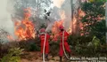 6 Provinsi di Kalimantan dan Sumatera Jadi Prioritas Penanganan Karhutla, Operasi Darat Jadi Ujung Tombak