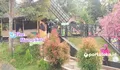 The Mang Sari Garden Bakal Lebih Seru dengan Wahana Baru, Destinasi Liburan Murah Meriah di Ciamis