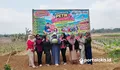 Agrowisata Petik Semangka Gegempalan Ciamis, Pengunjung Bisa Panen Langsung dari Kebun