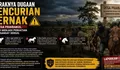 Teror Pencurian Ternak Hantui Praibakul: Dari Sapi Tinggal Kepala Hingga Kuda Lenyap!