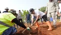 Hijaukan Subang, Pemprov Jabar Sulap 32 Hektare Kebun Jalupang Jadi Produktif