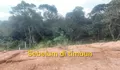 Diduga Hancurkan Kawasan Hutan Lindung di Batam, Polhut Temukan Pelanggaran Berat Pengembang
