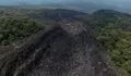 Karhutla Gunung Arjuno dan Welirang Padam Total, Aparat Kepolisian Mulai Usut Penyebabnya