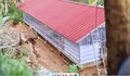 BUMDes Majasari Kecamatan Sobang Kembangkan Ayam Petelur, Dua Bulan Berjalan Sudah Berkontribusi ke PADes