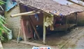 Satu Keluarga Tinggali Rumah Reyot Hampir Roboh di Desa Girimukti, Bupati Lebak Diminta Turun Tangan