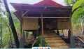 Program Ketahanan Pangan Desa Cirompang Melalui BUMDES Difokuskan pada Usaha Penggemukan Domba