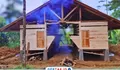 BUMDes Sobang Jalankan Program Ketapang Lewat Usaha Domba dan Jahe Merah, Ini Progresnya