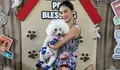 Pet Blessing Hari Ini, Temukan Jejak Kasih Tuhan dalam Dekapan Mochi di Gereja Blok Q