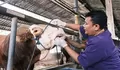 DKPPP Kota Bekasi Sisir Lapak Hewan Kurban, yang Tak Layak Sembelih Bakal Dicoret