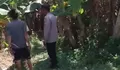 Dukung Asta Cita Presiden, Polsek Rembang Dampingi Petani Pisang Cavendish