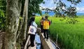TKD Nagan Raya Dipercepat untuk Pulihkan 57 Ribu Hektare Sawah Terdampak Bencana
