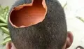Mengapa Orang Bodoh Lebih Berani Bicara di Medsos? (Netizen Kebanyakan Part 1) 