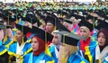 Pemprov Sulteng Dorong 1300 Lulusan Untad Jadi Penggerak Pembangunan Daerah