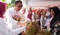 Merdeka Ekspor Durian, Komoditas Pertanian Sulteng Siap Tembus Pasar Mancanegara