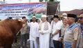 Sapi Kurban Bantuan Presiden Diserahkan untuk Masjid Al Anshor Kota Bengkulu