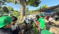 DPD RI Provinsi Bengkulu Gelar Pemotongan Hewan Kurban, 250 Paket Daging Dibagikan ke Masyarakat