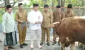 SIG Salurkan 292 Hewan Kurban di 19 Provinsi, Warga Sekitar Pabrik Ikut Rasakan Manfaatnya