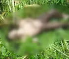 Bahaya cuaca di Alam, Analisis Dua Kematian Beruntun di Gunung Kawi dan Coban Manan dalam 72 Jam, Diduga Kuat Terkait Cuaca Ekstrem