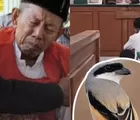 Pilu Kakek Masir, Warga Desa Situbondo yang Divonis 5 Bulan Penjara usai Dituduh Tangkap Burung Cendet di TN Baluran