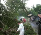 Perkembangan Situasi dan Penanganan Bencana di Tanah Air Tanggal 1 Maret 2026