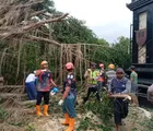 Cuaca Ekstrem Melanda Kabupaten Batang, Tim Gabungan Sigap Tangani Longsor, Banjir dan Pohon Tumbang