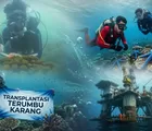 PHI Perkuat Konservasi Ekosistem Laut Kalimantan Lewat Program Jaga Pesisir Kita dan Rig to Reef