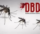 Mewaspadai Penyebaran DBD di Musim Hujan: Langkah Bersama Cegah Dengue dengan Strategi Terpadu