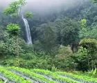 Cari Tempat Liburan Yang Nyaman Di Jawa Barat, Wisata Curug Cisarua: Hidden Gem di Kaki Gunung Cikuray