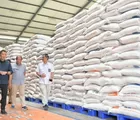 Produksi Beras Capai 34,77 Juta Ton, Kadin Nilai Kebijakan Prabowo Sangat Tepat untuk Ketahanan Pangan