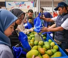 Pemberdayaan BRI Bawa Petani Mangga Bondowoso Tingkatkan Usaha dan Taraf Hidup Keluarga