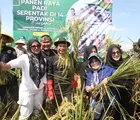 Om Zein Digembrong Emak-emak Saat Panen Raya! Wajah Tertutup Daun Padi, Momen Lucu Bupati Purwakarta