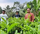 LPPNU Purwakarta Ungkap Krisis Pertanian Teh, Alih Fungsi Lahan dan Harga Tak Lagi Menguntungkan