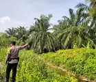 Polsek Batu Hampar Laksanakan Patroli dan Edukasi Warga soal Bahaya Karhutla