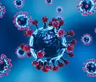Gejala Virus Nipah Sulit Dikenali, Dokter Sarankan Seperti Ini
