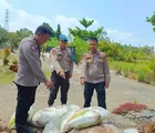 Curi Berondolan Seberat 290 Kg milik Perusahaan  2 Warga Rohil Ditangkap Polsek Batu Hampar 