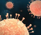 Mirip Flu, Mari Kenali Gejala Virus Nipah yang Perlu Diwaspadai