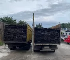 Polda Riau Tangkap 2 Colt Diesel Angkut Kayu illegal Logging Suaka Margasatwa Kerumutan, Dalami Pihak Lain Terlibat