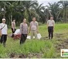 Walau Tak Memiliki Lahan, Dukung Ketahanan Pangan Polsek Pekanbaru Kota Upayakan 1 Ha Untuk Ditanami Jagung di Rumbai 