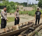 Polsek Batu Hampar Rohil Bekuk Dua Pencuri Sawit Perusahaan 
