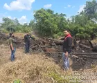 Bakar Lahan untuk Ditanami Sawit, Pria di Rohil Ditangkap Polisi
