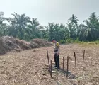 Polsek Batu Hampar Rohil Cek Perkembangan dan Monitoring Jagung Kwartal I