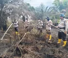 Polsek Batu Hampar bersama Tim Gabungan Lakukan Pendinginan Dilahan Terdampak Karhutla 