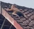 Bocah 2 Tahun Bikin Panik Warga Lombok usai Ditemukan Tengkurap di Atap Rumah