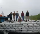 Polda Riau Tindak Pelaku Perusakan Mangrove di Meranti, Dua Pemilik Dapur Arang Ilegal Ditangkap